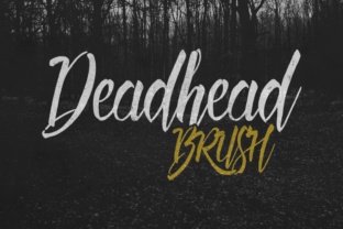 Deadhead Brush Font: Authentic Script for Digital Campaigns
