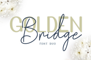 Golden Bridge Font: An Editorial Design Review