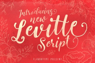 Levitte: A Designer’s Take on Modern Script