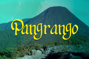 Pangrango Font: Adding Organic Warmth to Web Layouts