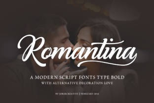 Romantina Font: Elegant Script for Web Design