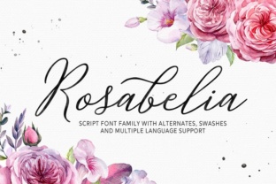 Rosabelia Font: Elegant Script for Editorial Design
