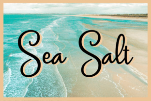 Sea Salt: A Designer’s Review for Real Projects