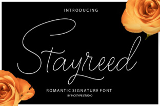 Stayreed Font: Elevating Handmade Labels and Decor