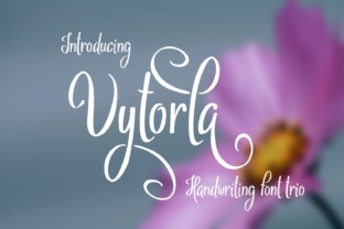 Vytorla Font: Elevating Campaign Visuals with Handwritten Charm